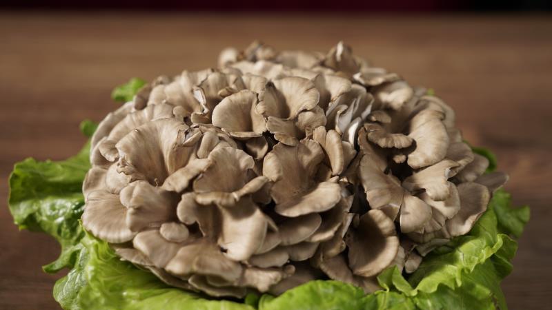 maitake mushrooms (2)